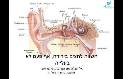 מעיכות (בארוטראומה)