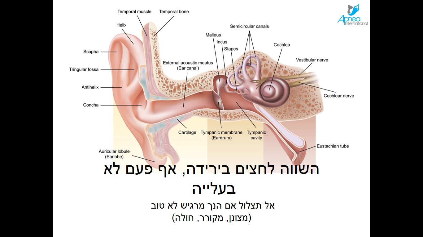 מעיכות (בארוטראומה)